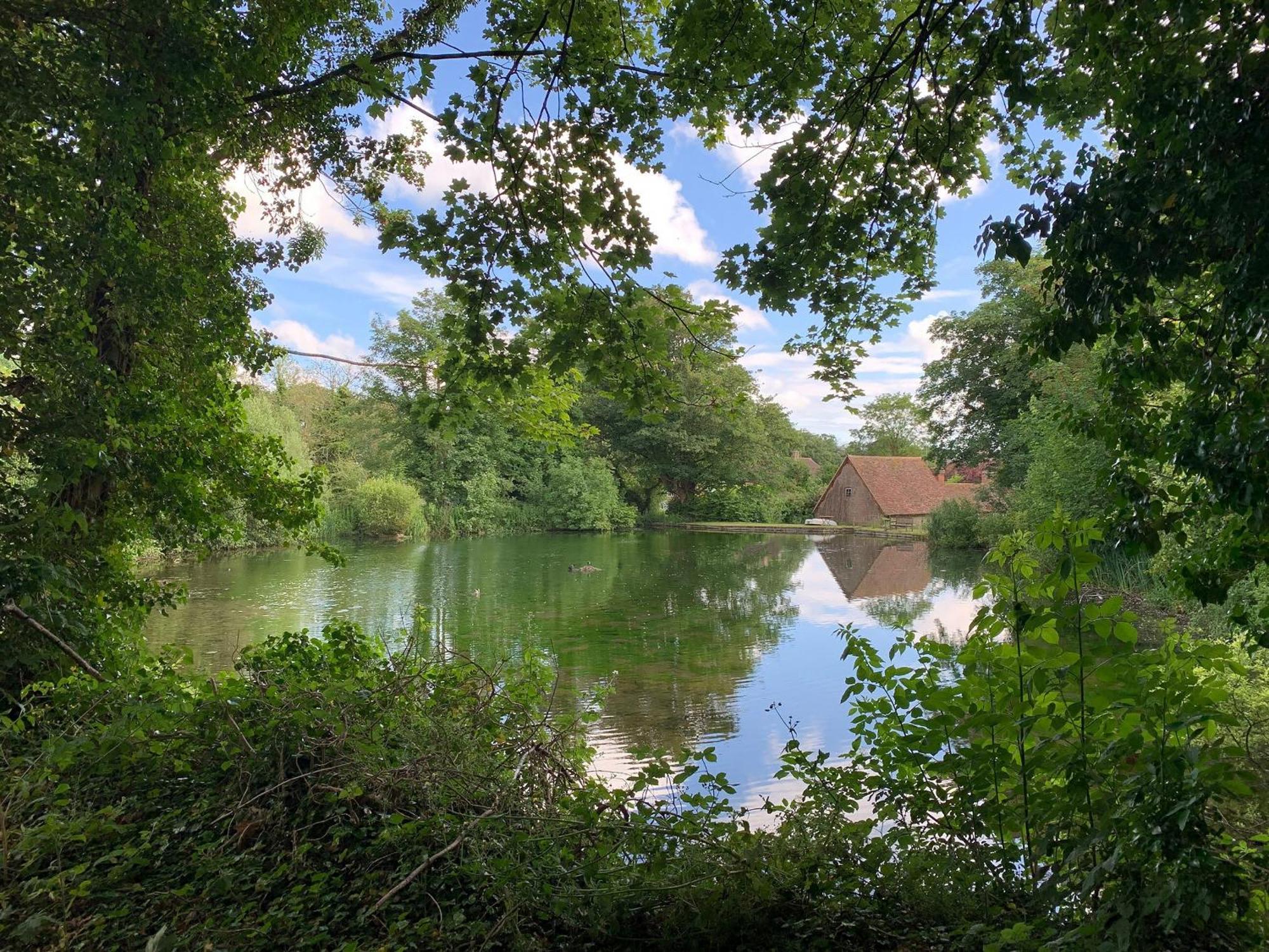 Moorhen Cottage Hollingbourne Esterno foto